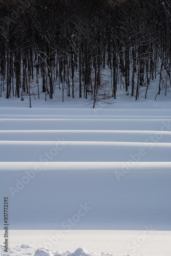 雪が積もった畑
