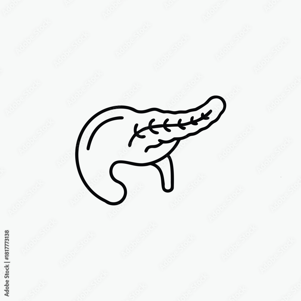 Obraz premium pancreas line art icon silhoutte vector template