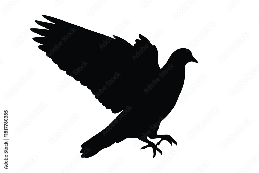 Obraz premium Black silhouette of pigeon bird landing with wings spread