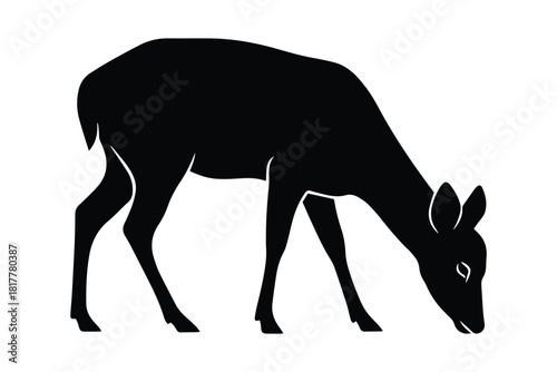 Black silhouette of female deer grazing. Vector illustration