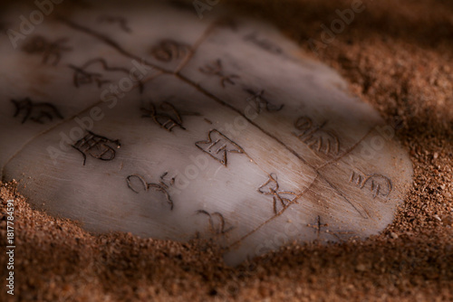 Ancient Chinese Oracle Bones with Shang Dynasty Scripts Buried in Archaeological Sand