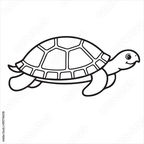 turtle line drawing coloring page