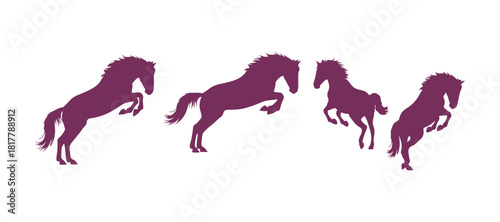 Phases of horse jump motion - a colored vector silhouette depicting a side view of a free mustang in full gallop.
