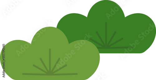 소나무, 나무, 전통적인, 한국적인, 한국, 동양, 명절, 추석, 설날, 한국 이미지, 한국 분위기