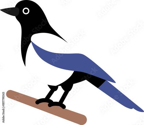 까치, 새, magpie, Korean magpie, Asian magpie, bird illustration, vector bird, minimal bird art,