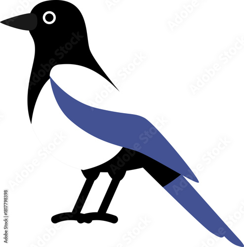 까치, 새, magpie, Korean magpie, Asian magpie, bird illustration, vector bird, minimal bird art,