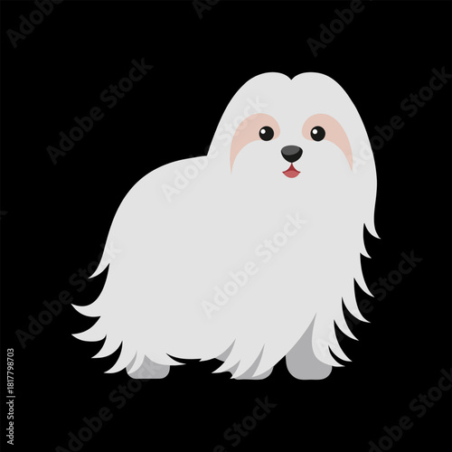 Maltese Dog With Long Flowing White Hair Minimal And Simple Colorful Vector Black Background Only
