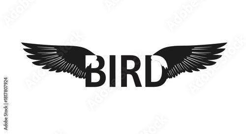 Abstract typographical image of the word bird with black wings illustration design