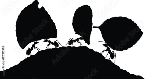 Ants carrying leaves silhouette vector illustration, teamwork and strength concept, insect colony cooperation graphic, nature behavior design element for stock content