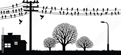 House with utility pole, birds on power lines, leafless trees, streetlamp silhouette, black and white vector illustration, tranquil suburban rural scene artwork
