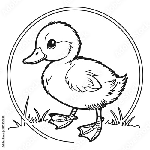 Charming baby duckling, a cute waterfowl chick, stands in a circular frame, depicted as a simple black and white line art illustration, isolated on white