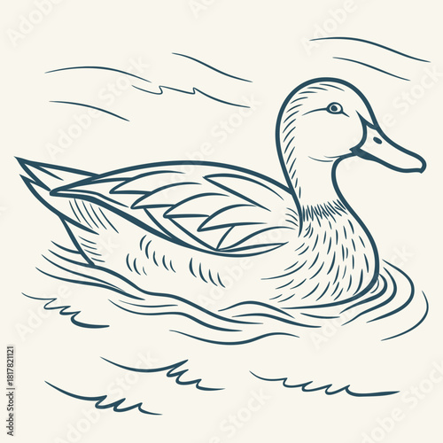 Classic handdrawn line art illustration of a duck swimming serenely on the water, depicting the graceful movement and natural beauty of this waterfowl
