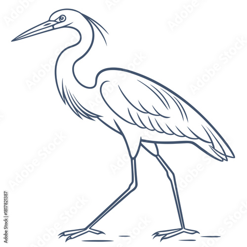 Elegant heron or egret bird standing, a simple black and white line art drawing with a long beak and slender legs, a graceful wading bird