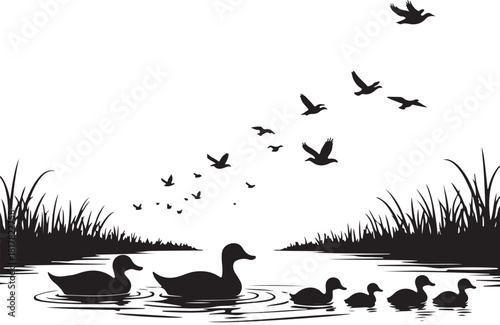 Black silhouette ducks swimming with birds flying above