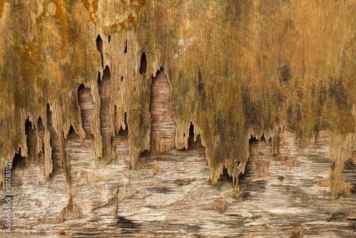 The texture of old, weathered wood with peeling layers. The wood surface looks worn, cracked, and has a mossy hue, adding to the rustic feel.