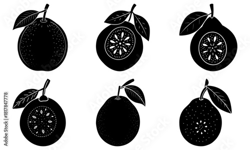 Citrus Delight: Fresh grapefruit collection with leaves, a healthy and juicy treat, perfect for vibrant summer designs and vitamin-rich concepts