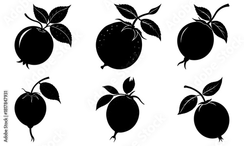 Elegant silhouette of fresh oranges with leaves, ideal for healthy food designs, juice packaging, or simple organic product branding, created with vector graphics