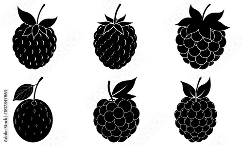 Delicious raspberry and berry variety black silhouette for creative designs, healthy eating concepts, and vibrant food illustrations, originally vector