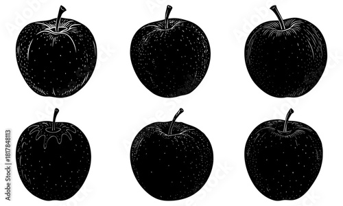 Classic apple illustrations, perfect for healthy living designs, delicious food projects, or vintage botanical art and educational materials
