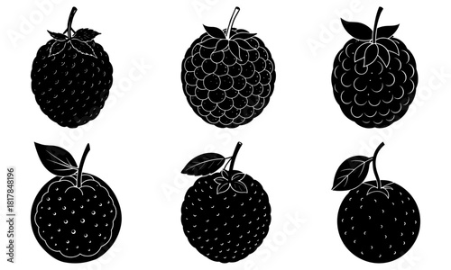 Delicious berry vector art for healthy eating, sweet treat designs, and summer promotions, perfect for food blogs, cookbooks, and recipe cards