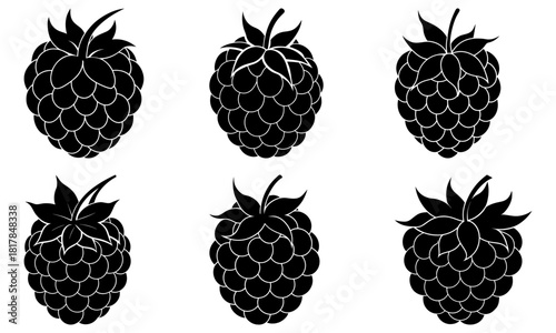 Delicious raspberries vector art for healthy food designs, sweet berry concepts, and fresh fruit illustrations, perfect for summer menus, vibrant graphics