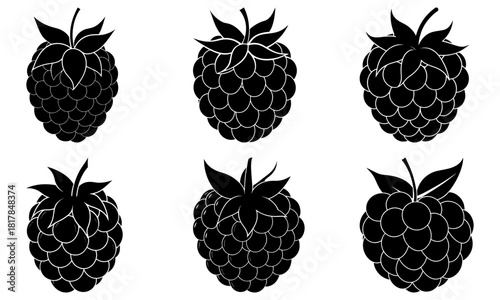 Delicious raspberry collection for summer recipes, elegant design element for packaging, or fresh market promotions, inviting and creative fruit concept