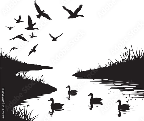 Flock of birds flying over ducks on water migration