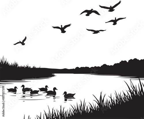 Flock of ducks swimming on lake with birds flying overhead