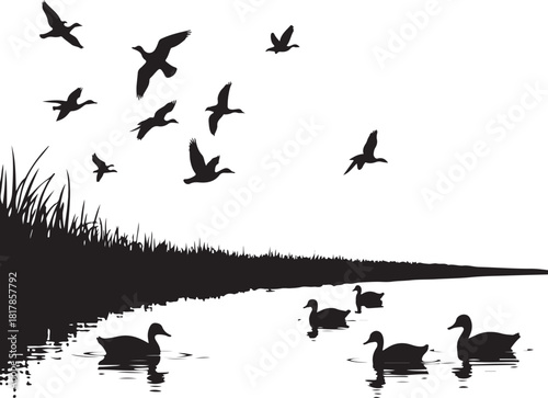Flock of geese flying over ducks on water with grass