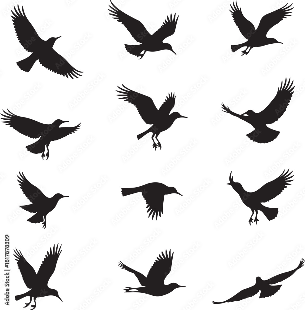 Obraz premium Twelve black bird silhouettes in flight on white background