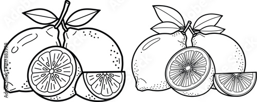 Fresh lemons and vibrant lemon slices with leaves, depicted in a clean line art style