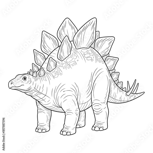 Detailed black outline illustration of a Stegosaurus, an armored dinosaur. White background.