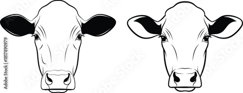Detailed frontal views of two cow heads in clean line art style for farm animal concepts