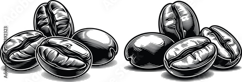 Several roasted coffee beans grouped together in a detailed vintage engraving style for beverage packaging