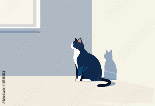 A minimalist illustration of a seated tuxedo cat, facing right, with its shadow and an abstract window