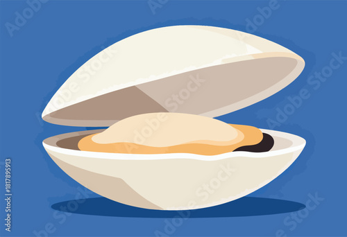 A stylized illustration presents an open oyster or clam, creamy white shell, blue background, and shaded