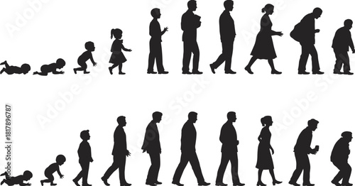 Vector silhouettes depicting human life stages from baby to old age, symbolizing growth, aging process, and the entire human lifespan.