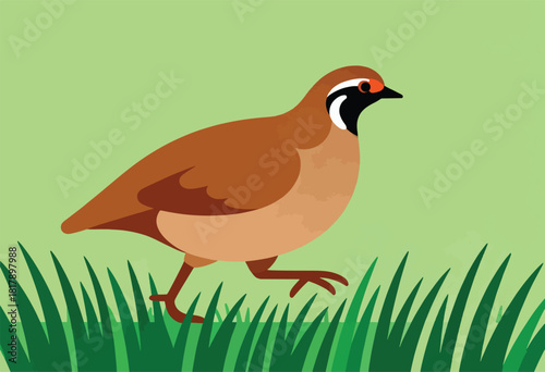 A cartoon bird walks across green grass against a light green background. It has brown feathers and a black beak