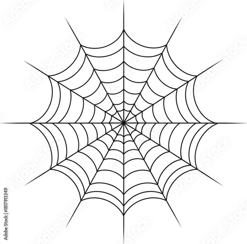 Spider Web Line Art Outline Vector Illustration