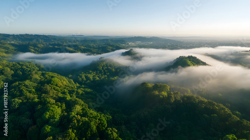Aerial view of dense green rolling hills partially covered by low white morning mist above a distant valley