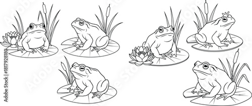 Multiple swamp frogs resting on circular lily pads with tall cattails and water flowers drawn