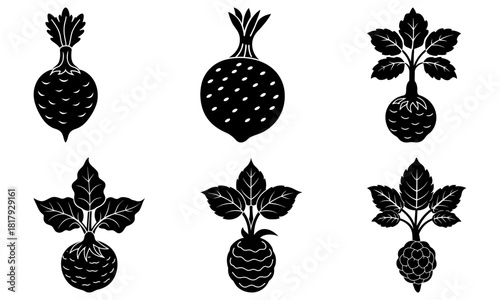 Diverse root vegetables, a harvest of nature's bounty, ideal for organic food concepts, culinary designs, and fresh market promotions, originally vector art