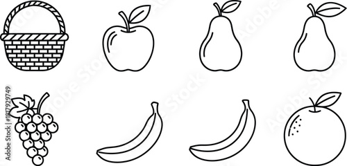 A collection of outlined fruits and a woven basket illustration