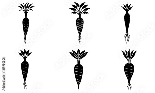 Fresh carrots pattern for healthy eating designs, perfect for organic food stores and farmers markets, originally a vector graphic for easy scaling