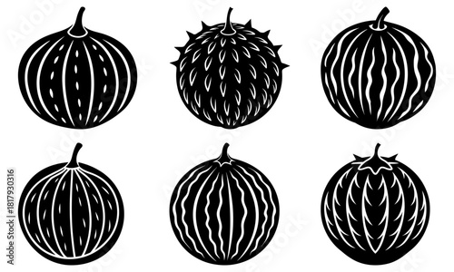 Vibrant vector illustration of assorted gourds, pumpkins, and squashes ready for fall harvest markets, perfect for autumn menus and seasonal designs