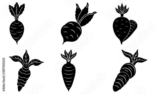 Freshly harvested beets and carrots, a healthy harvest for vibrant meals, a simple illustration for vegan and vegetarian recipes