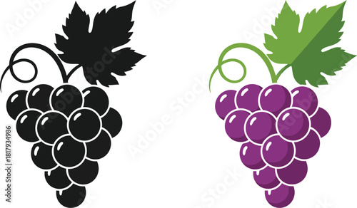 A comparison of grape bunches in black and colorful illustration styles