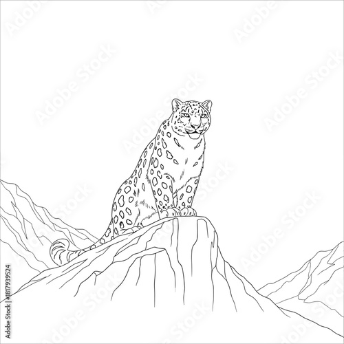 Detailed line art of a majestic snow leopard sitting on a mountain rock, isolated on white.