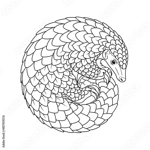 Black outline illustration of a pangolin curled into a protective ball, highlighting its scales.