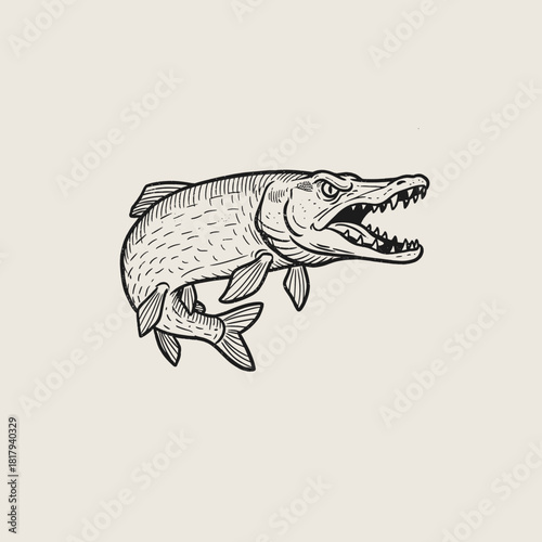 Aggressive Pike Fish Engraving.Vintage Fishing Logo Design.Retro Predator Fish Mascot.Woodcut Style Fish Illustration.Detailed Freshwater Trophy